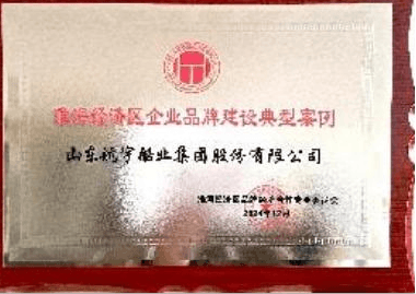 企业荣誉 12