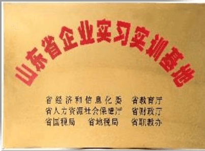 企业荣誉 4